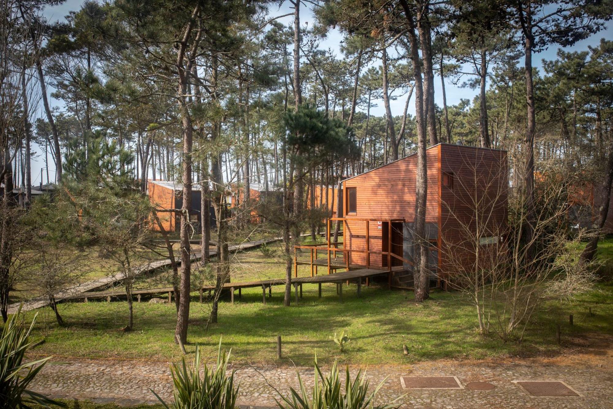 Bungalow B2 - Nature, Beach & River Ofir Exterior foto