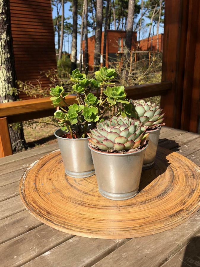 Bungalow B2 - Nature, Beach & River Ofir Exterior foto