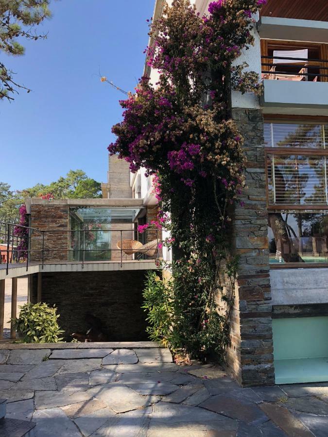 Bungalow B2 - Nature, Beach & River Ofir Exterior foto