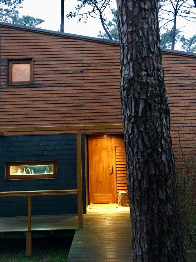 Bungalow B2 - Nature, Beach & River Ofir Exterior foto