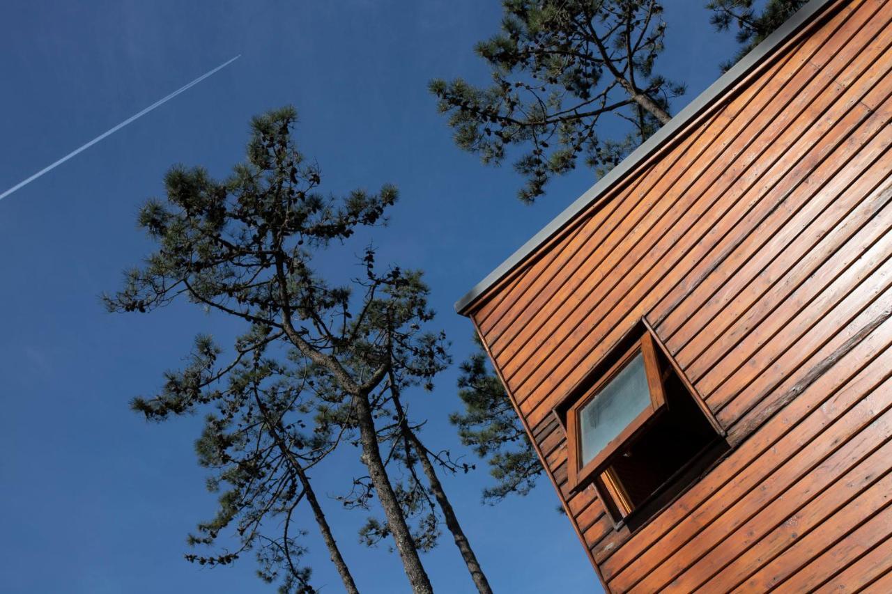 Bungalow B2 - Nature, Beach & River Ofir Exterior foto